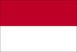 Indonesia Flag icon